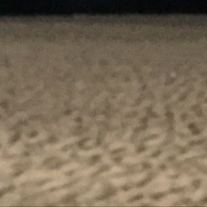 Meet your Posher, Austin